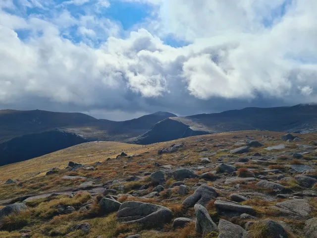 Thumbnail for Walk
