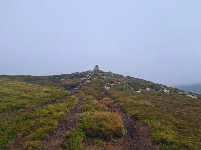 Thumbnail for Walk