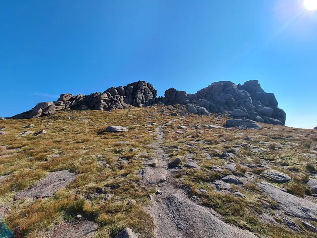 Thumbnail for Walk