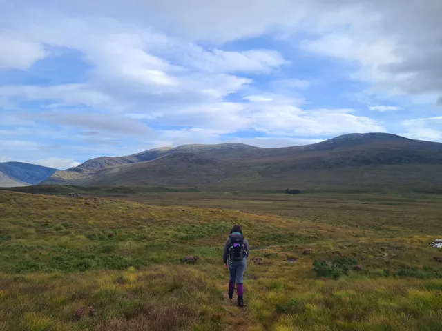Thumbnail for Walk