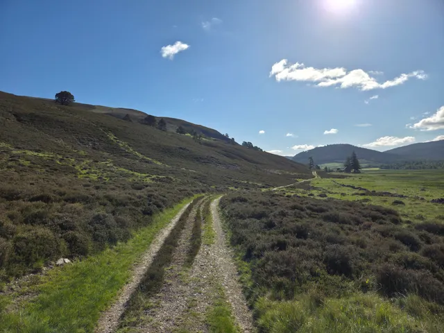 Thumbnail for Walk